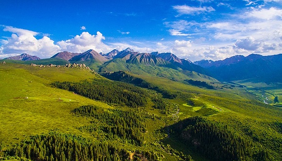 自然資源部聯合公益組織共同發起“自然保護公益伙伴計劃”