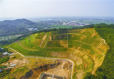 舉生態旗 走綠色路 打釩鈦牌